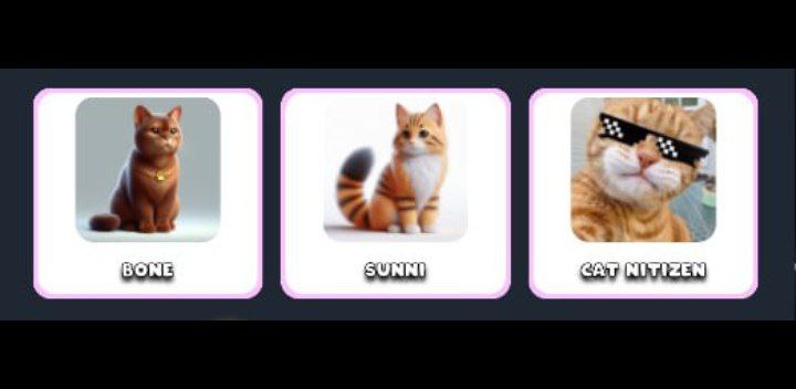 cat id paws daily combo 29 october