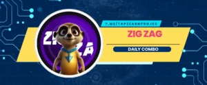 zigzag daily combo